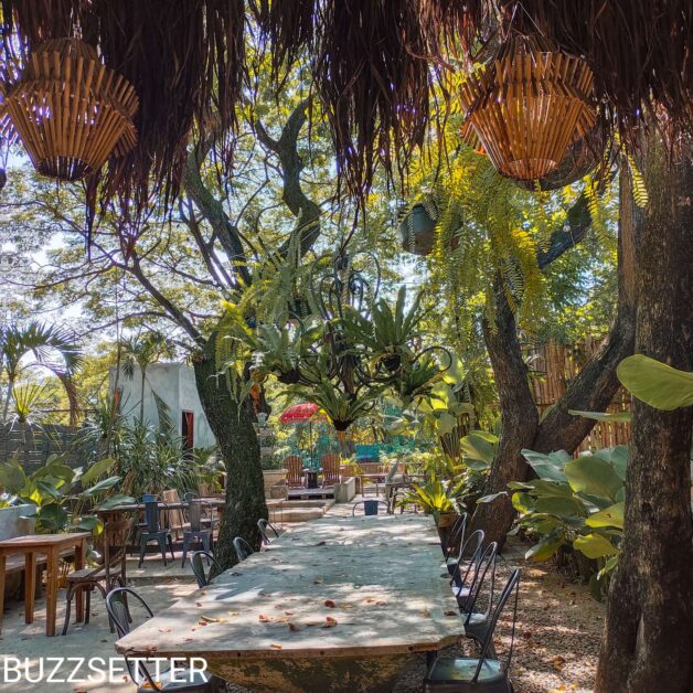 Compress 20220121 204349 9680