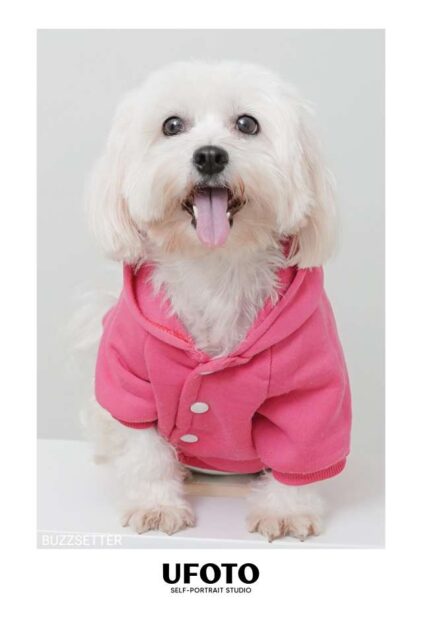 Compress 20220203 224918 8186