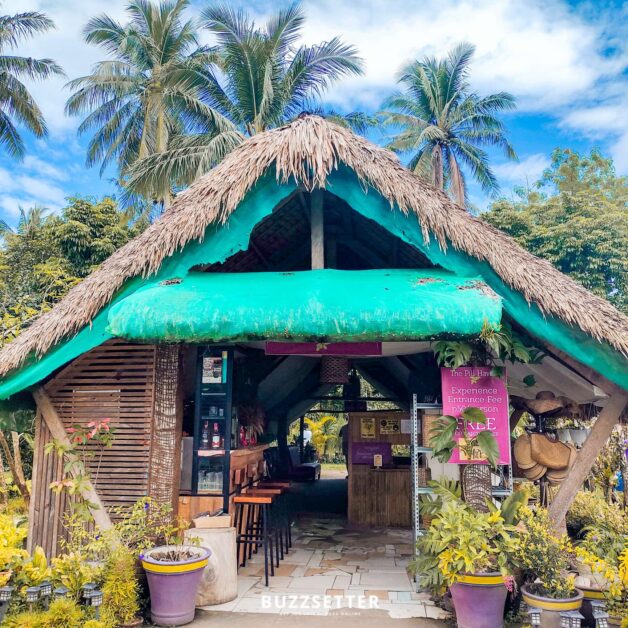 the pili haven sorsogon 2