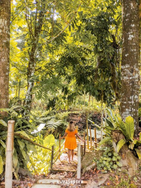 the pili haven sorsogon 3 1