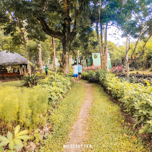 the pili haven sorsogon 6