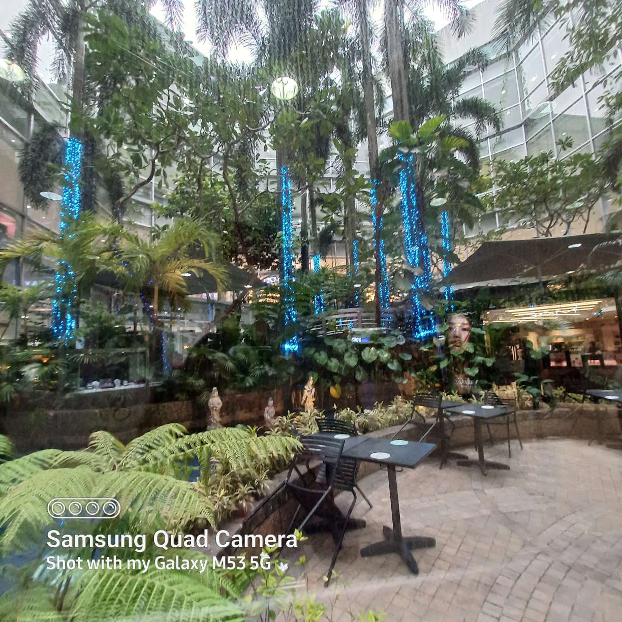 Compress 20220716 155252 2098