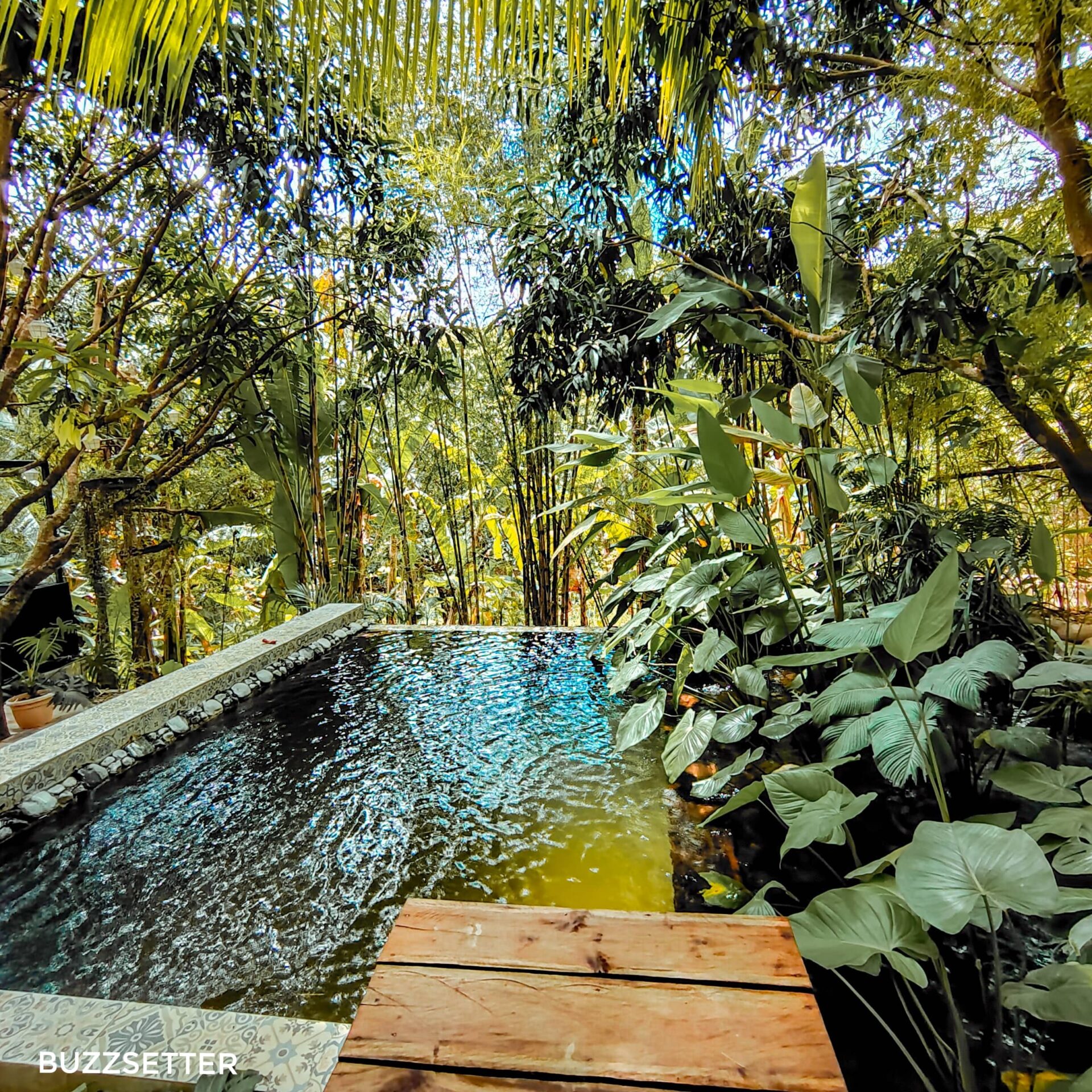 glamping dome staycation