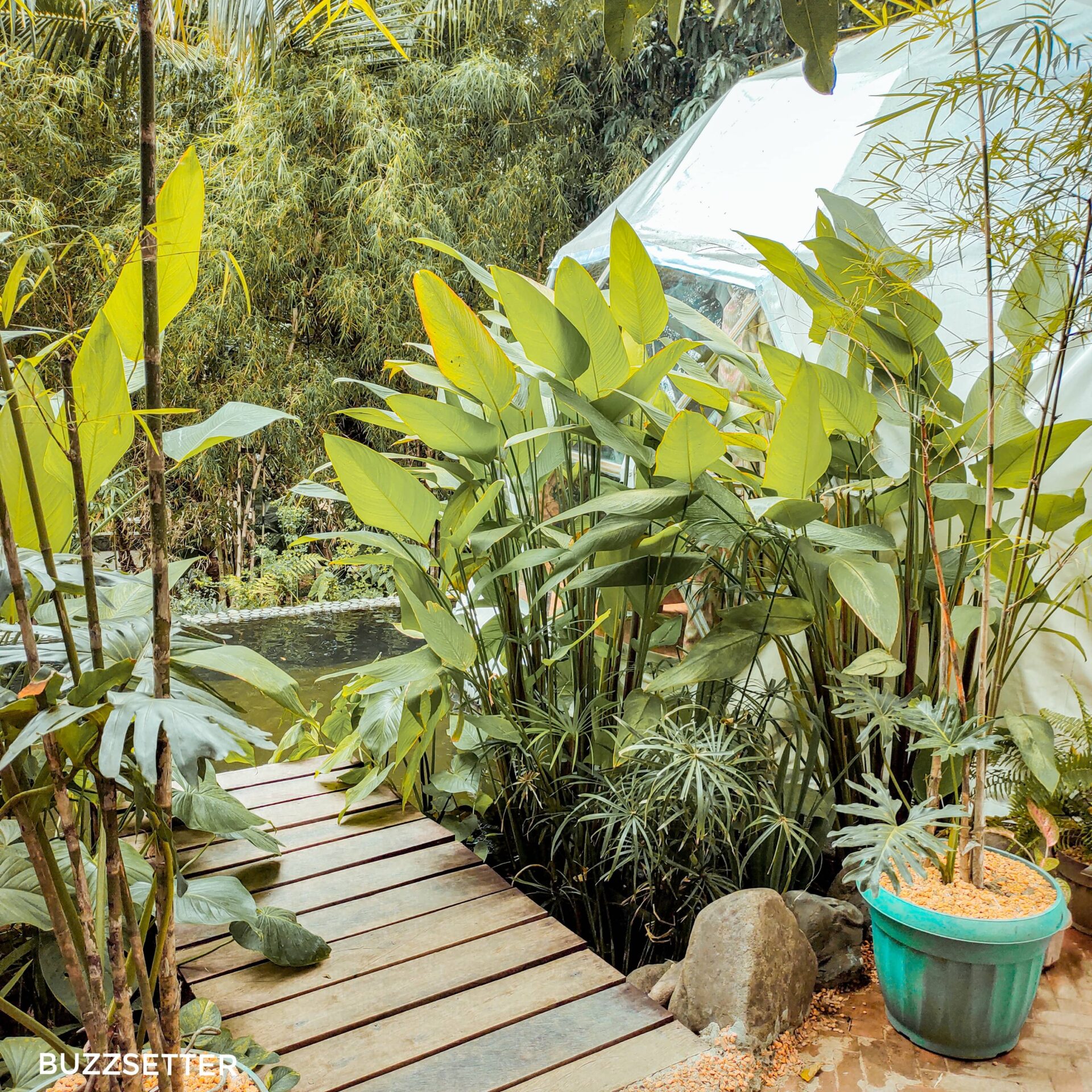 glamping philippines