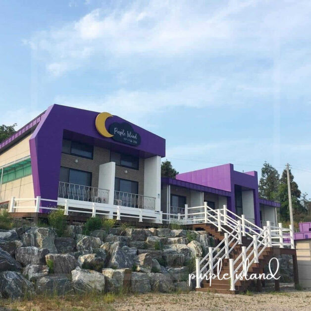 purple island korea 4