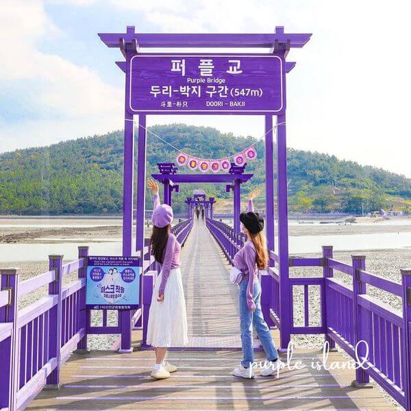 purple island korea