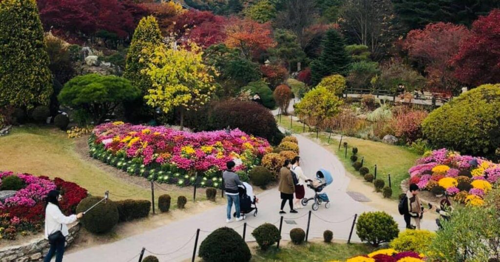 The Garden of Morning Calm