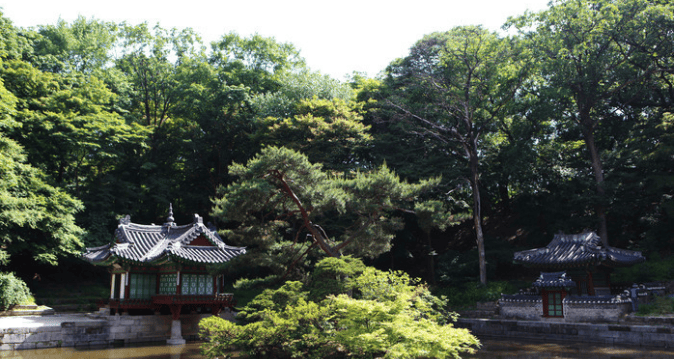Changdeokgung Palace-KTO-8