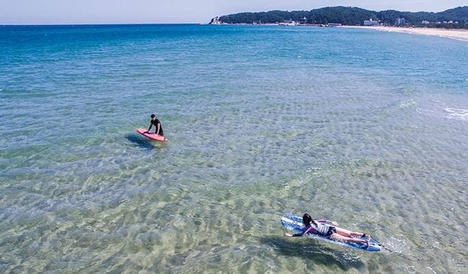 surfyy-beach-kto-1 (1)