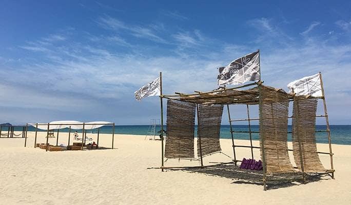 surfyy-beach-kto-9 (1)