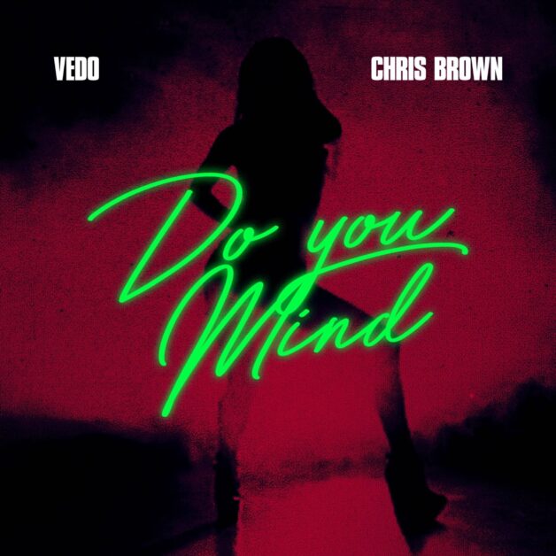 Cover of DO YOU MIND CLEAN 1 1
