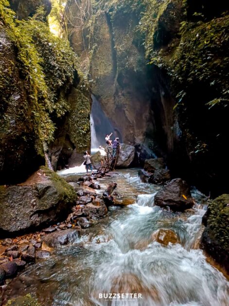 zoes resort eco adventure park 7