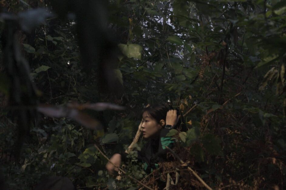 Siren Survive the Island 1