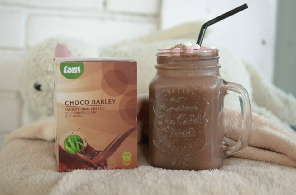 Cultivating an Affordable Healthy Lifestyle in the Family 1