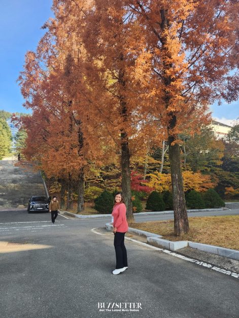 Study in korea for free scholarship