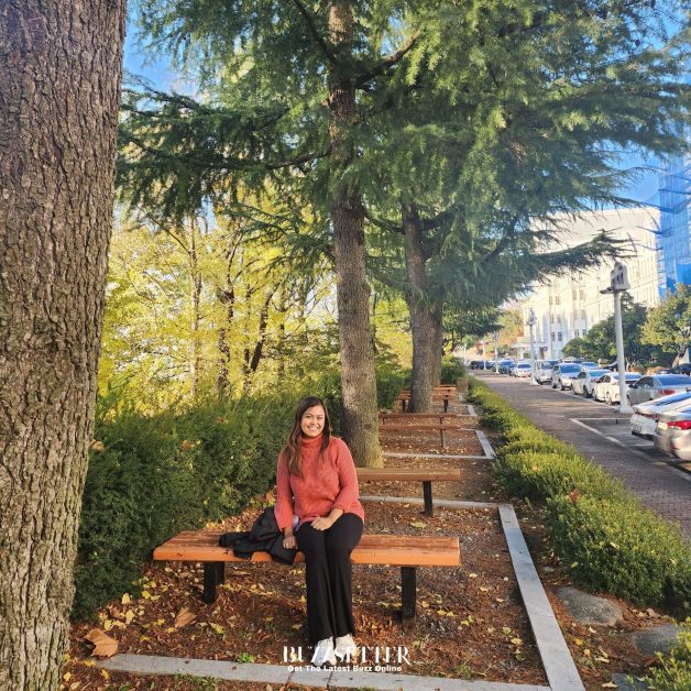 chosun university korean language program