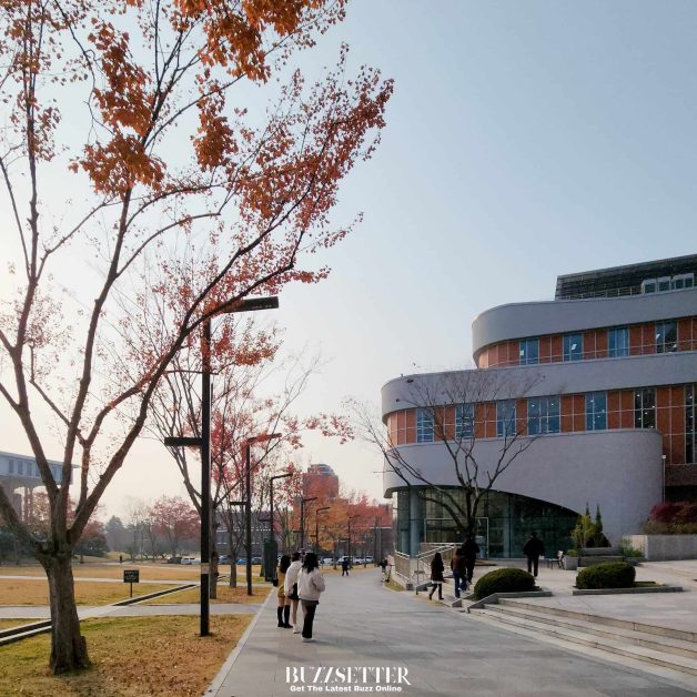 study in south korea for international students