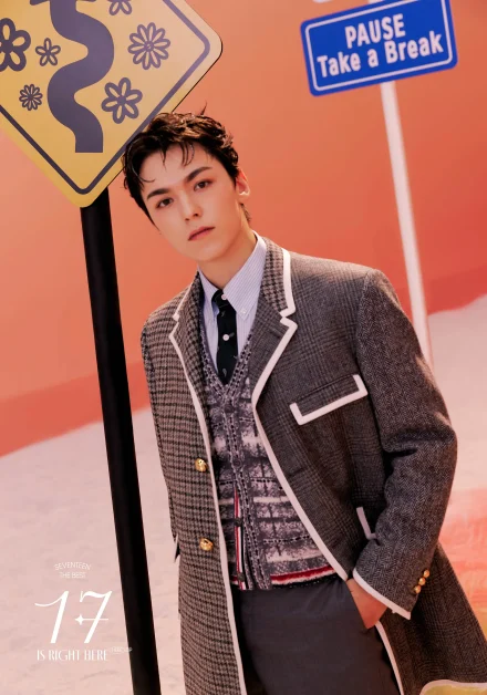 seventeen 17 IS RIGHT HERE VERNON