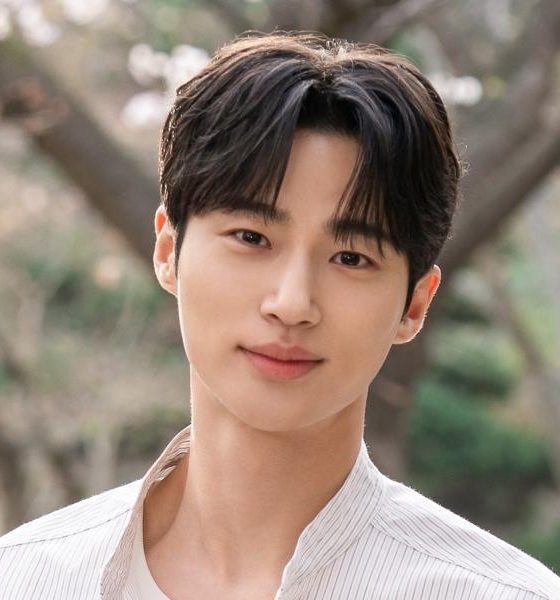 byeon woo seok korean drama