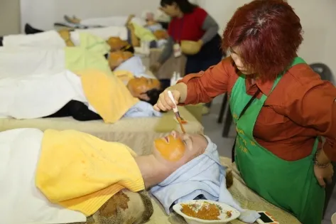 Geumsan World Insam Festival