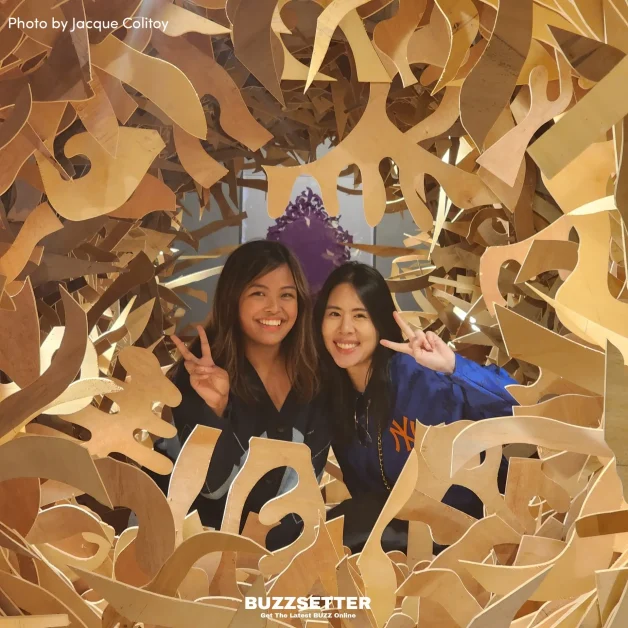 Youngwol y park tickets 2