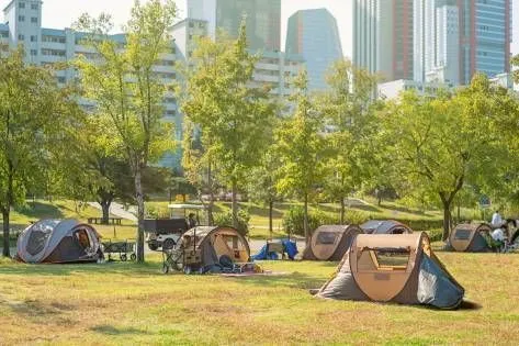 How to Spend a Day at Hangang River Like a Local
