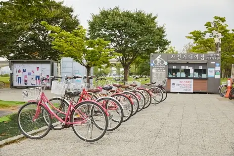 How to Spend a Day at Hangang River Like a Local biking