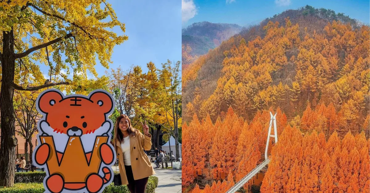 Koreas Fall Foliage this 2025