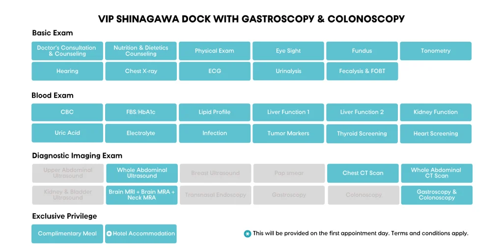 e VIP Shinagawa Dock with Colonoscopy or Gastroscopy Colonoscopy
